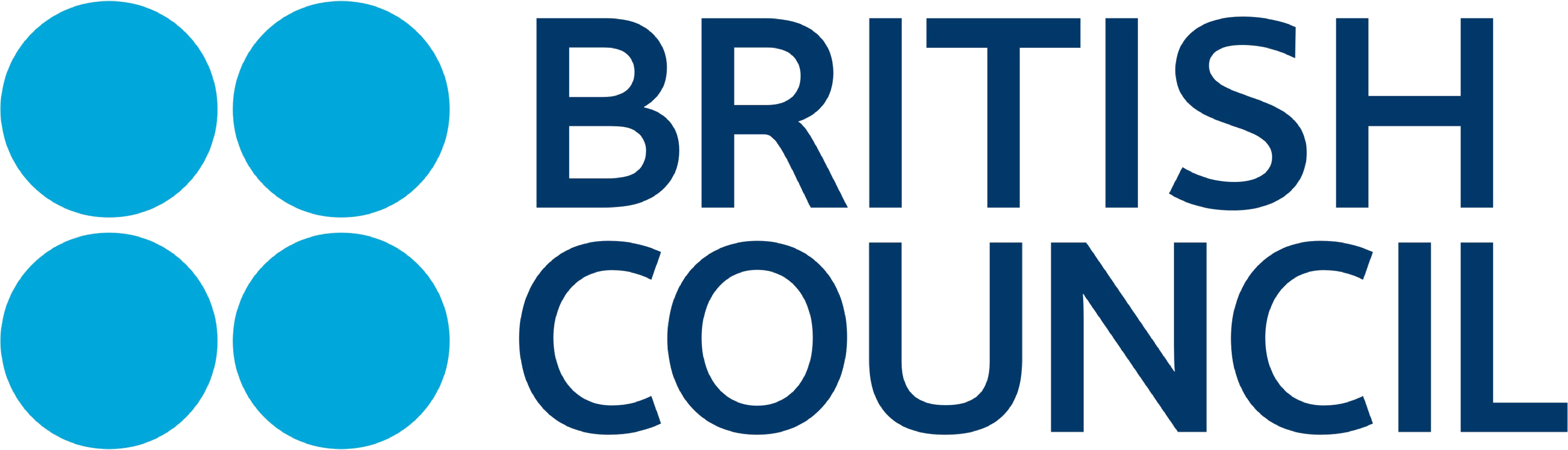 Footer Logo 