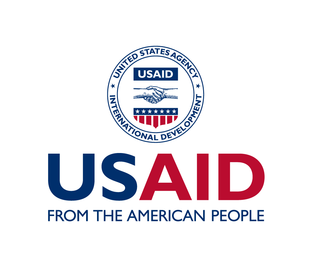 Footer Logo 